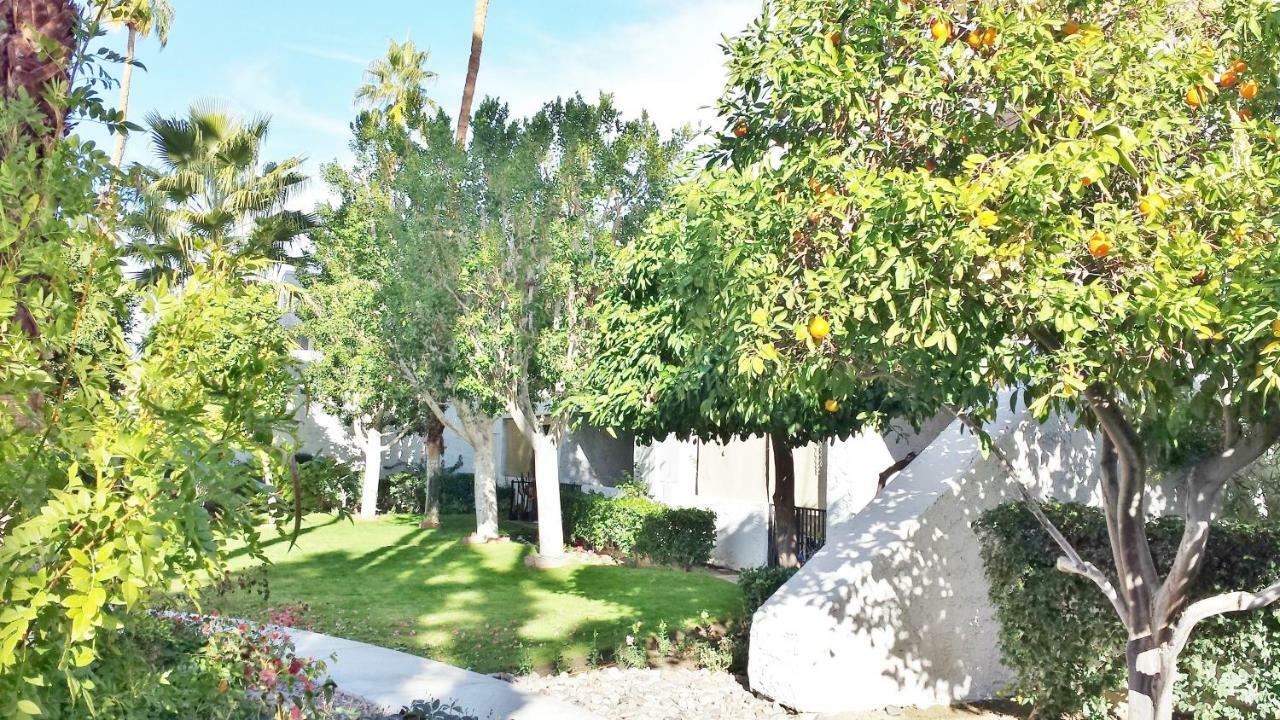 Palm Canyon Villas Palm Springs Exteriör bild