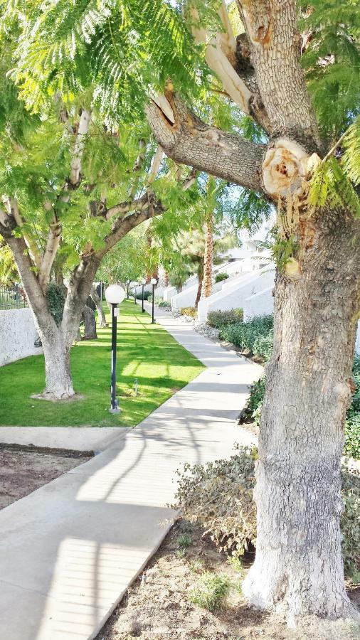 Palm Canyon Villas Palm Springs Exteriör bild